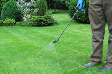10% Off 1-year Lawn Treatment for New Customers
