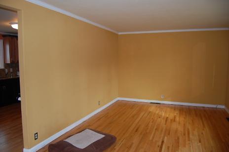 Before - Living Room